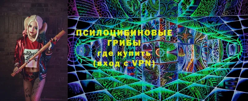 Псилоцибиновые грибы Psilocybine cubensis  даркнет сайт  Кириллов 